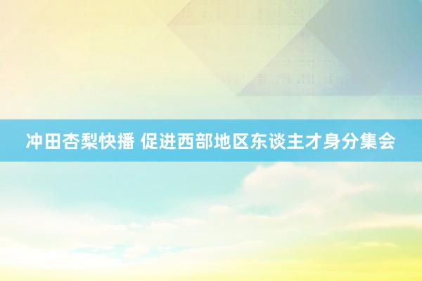 冲田杏梨快播 促进西部地区东谈主才身分集会