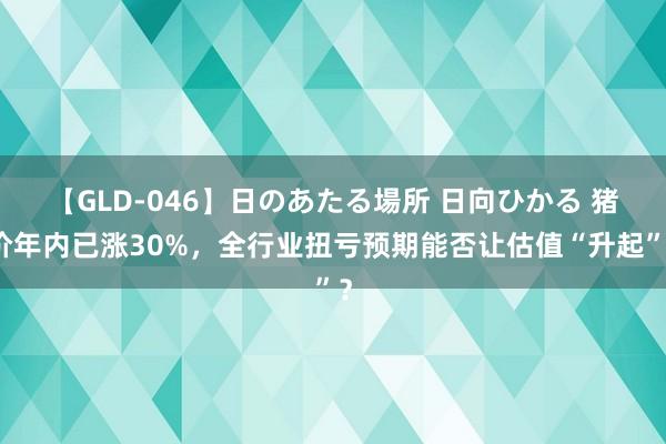 【GLD-046】日のあたる場所 日向ひかる 猪价年内已涨30%，全行业扭亏预期能否让估值“升起”？