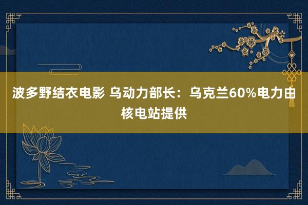 波多野结衣电影 乌动力部长：乌克兰60%电力由核电站提供