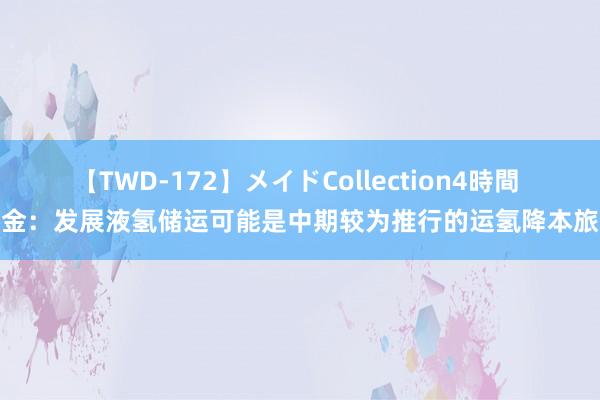 【TWD-172】メイドCollection4時間 中金：发展液氢储运可能是中期较为推行的运氢降本旅途