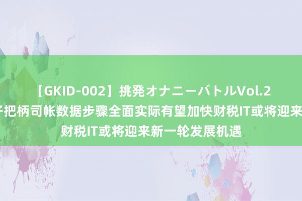 【GKID-002】挑発オナニーバトルVol.2 中信建投：电子把柄司帐数据步骤全面实际有望加快财税IT或将迎来新一轮发展机遇