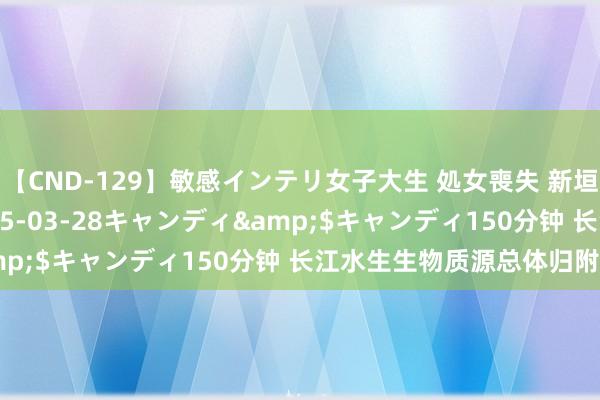 【CND-129】敏感インテリ女子大生 処女喪失 新垣みさ</a>2015-03-28キャンディ&$キャンディ150分钟 长江水生生物质源总体归附向好