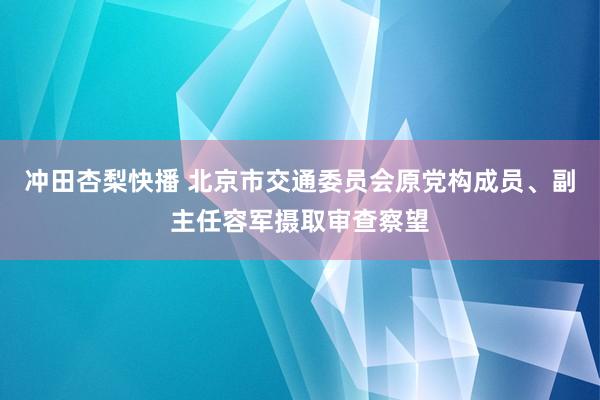 冲田杏梨快播 北京市交通委员会原党构成员、副主任容军摄取审查察望