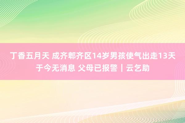 丁香五月天 成齐郫齐区14岁男孩使气出走13天于今无消息 父母已报警｜云乞助