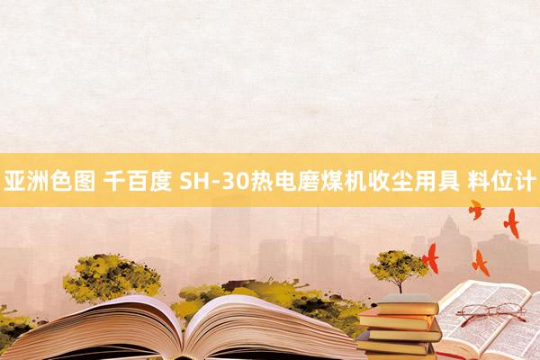 亚洲色图 千百度 SH-30热电磨煤机收尘用具 料位计