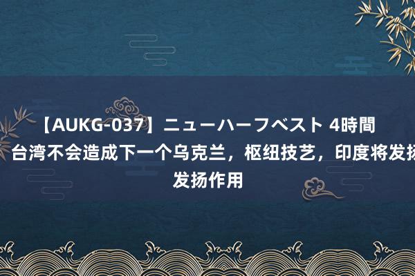 【AUKG-037】ニューハーフベスト 4時間 印度：台湾不会造成下一个乌克兰，枢纽技艺，印度将发扬作用