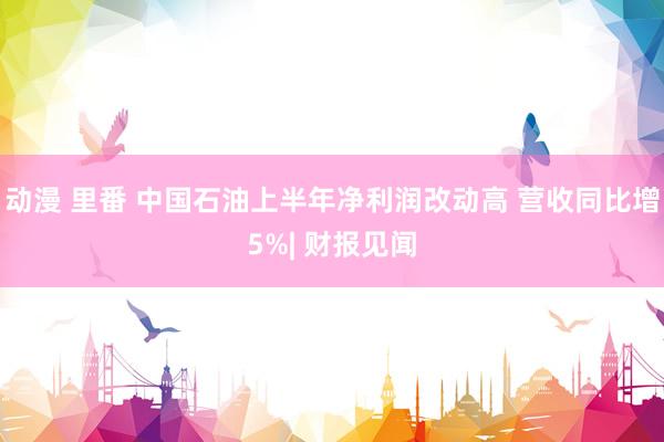 动漫 里番 中国石油上半年净利润改动高 营收同比增5%| 财报见闻