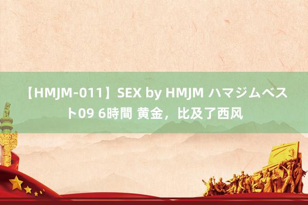 【HMJM-011】SEX by HMJM ハマジムベスト09 6時間 黄金，比及了西风