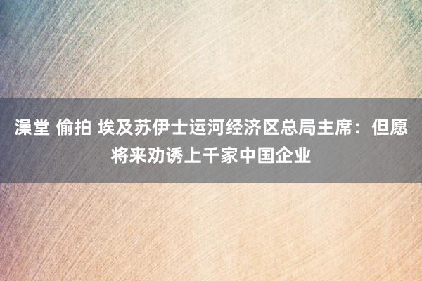 澡堂 偷拍 埃及苏伊士运河经济区总局主席：但愿将来劝诱上千家中国企业