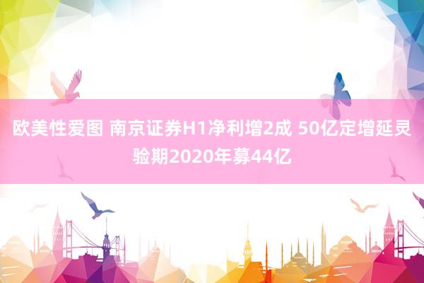 欧美性爱图 南京证券H1净利增2成 50亿定增延灵验期2020年募44亿