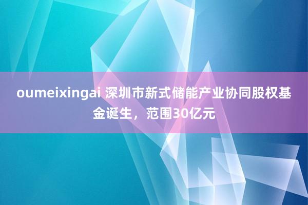 oumeixingai 深圳市新式储能产业协同股权基金诞生，范围30亿元