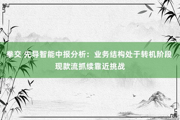 拳交 先导智能中报分析：业务结构处于转机阶段 现款流抓续靠近挑战