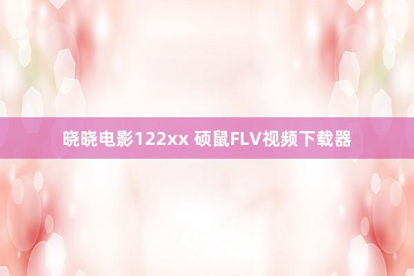 晓晓电影122xx 硕鼠FLV视频下载器