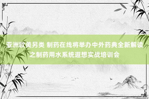 亚洲欧美另类 制药在线将举办中外药典全新解读之制药用水系统遐想实战培训会